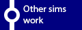 Other Sims Work
