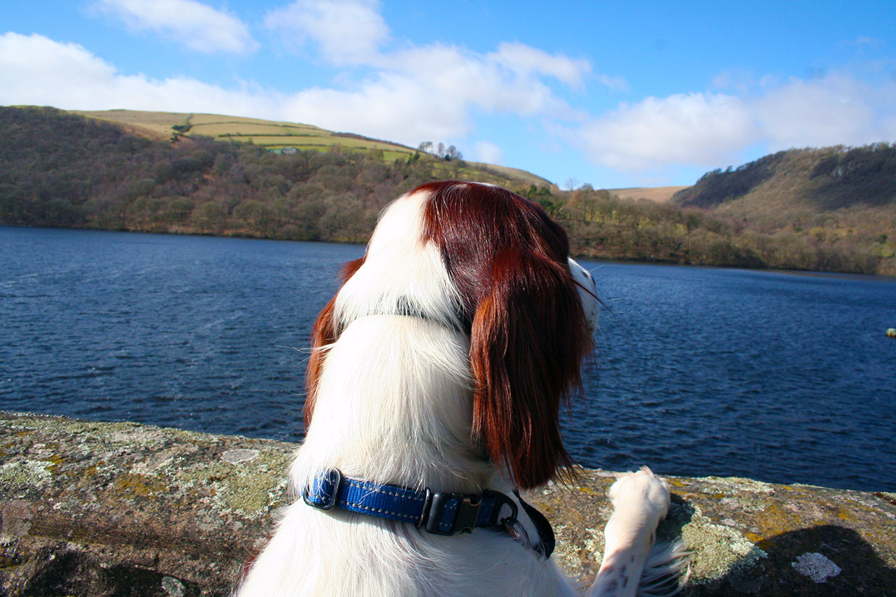 Now its Happy new year (onwards to 2026)